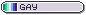 ID Button: Gay
